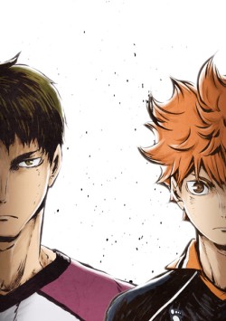 Haikyu - Chàng khổng lồ tí hon (Phần 3) - Haikyu!! (Season 3) (2020)